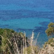 Search apartments in Cilento